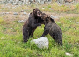 S&P 500 ready for another major drop