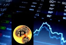 The University Of Cambridge is Creating A Decentralized Carbon Credit Platform Promoting Nature-based Conservation