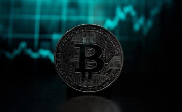 Sapiens International Corporation Pays Hackers Bitcoin Worth $250,000 As Ransom After They Threatened To Shut Down Its Systems