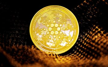 Cardano Network Has Manages to Beat its Competitors After the Alonzo Update