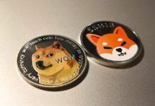 Shiba Inu Could Experience Jump if Listed on Foxbit