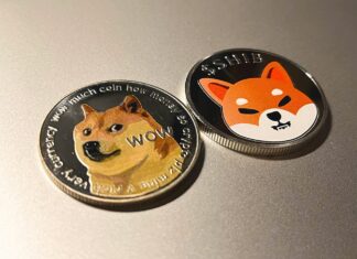 Shiba Inu Could Experience Jump if Listed on Foxbit