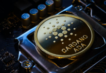 Hoskinson Pushes for a Software-Enabled Crypto Self-Regulation