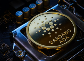 Hoskinson Pushes for a Software-Enabled Crypto Self-Regulation